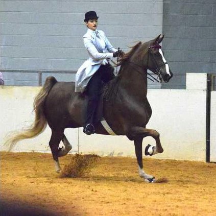 sports Bobbie McDonald and horse 2018