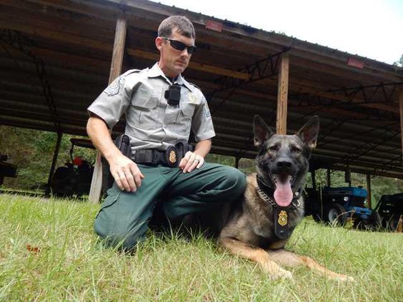 K-9 horizontal