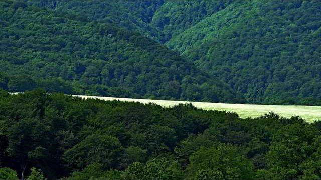 148ebec2d985a2ca4008030b1f40f52b02d55efc10281dc93b8f4fca2cebb5f3