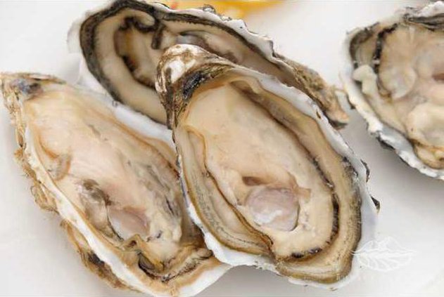 Fermar-Oysters-march-2015 30