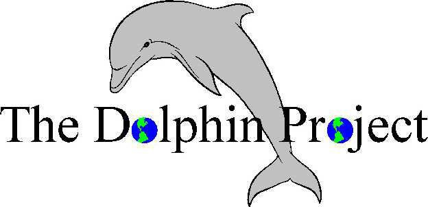 dolphin project