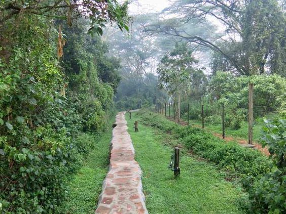 9935953d2e559e70b08930f30f49944460ee95ecb7d26cc298265124cd7aaac5