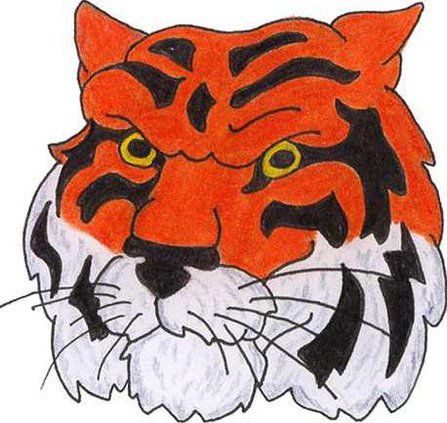 BI tiger