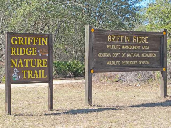 WEB Griffin Ridge WMA1