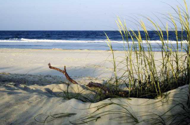 beach on Tybee Island