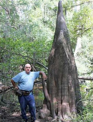 5875  James and a huge cypress knee - Copy