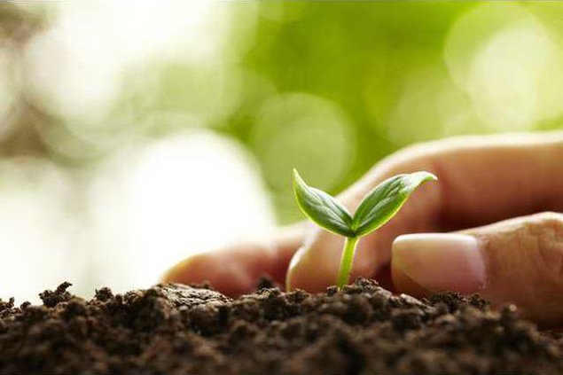 77f5805b29edcc1b6c73eb45020d68a411561548490999b8adf2570c32acd2c3