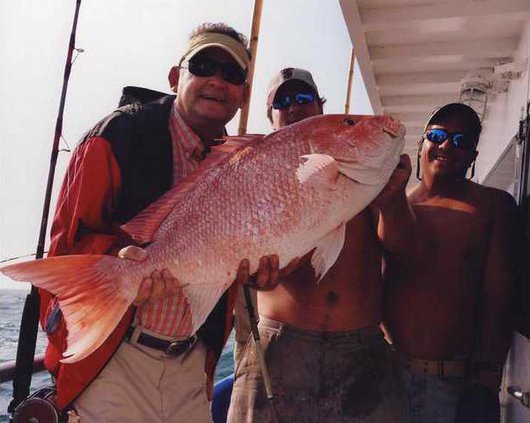 RedSnapperCatch