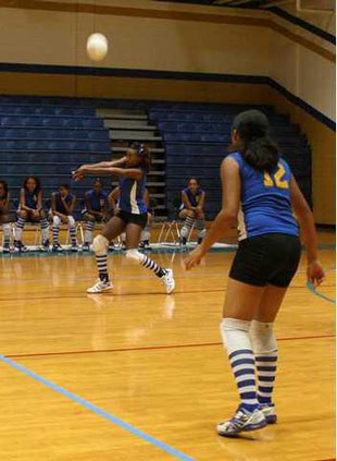 TigerVoleyball