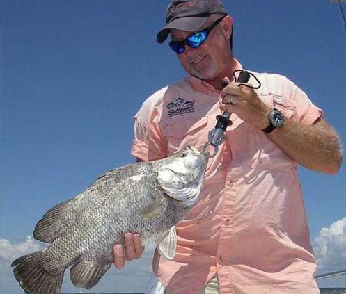 TripleTail