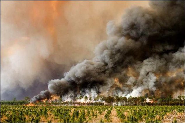 forestfire