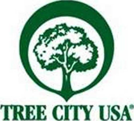 tree city usa 0528