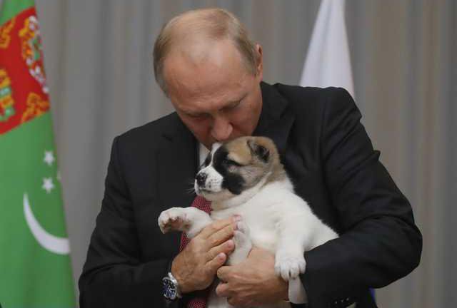 Vladimir Putin becomes a meme after hugging and kissing adorable new ...