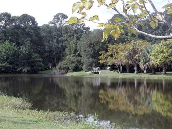 Bryant-Commons-charette-pond