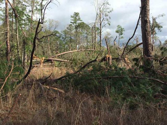 Tornado near Stewart