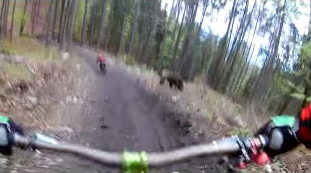 a810d1360b31a6579bfcec7132eddc0c57895daeb6bb5003d5806218a4cafe4c