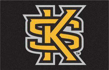 kennesaw-state-university