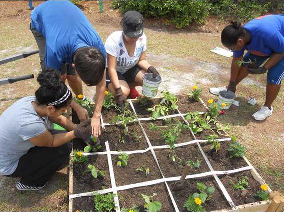 0614 KLB garden provided