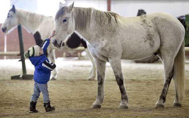 0dd2396e12f5e301a8a221b288ab874a913a5ec03b935c657fb088bbd75963e7