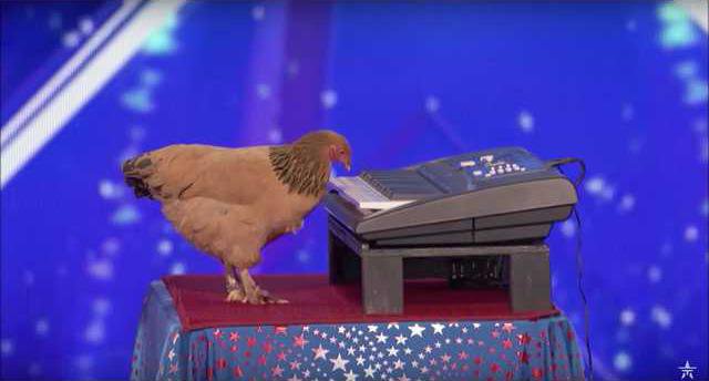 2cc5b36a83a5889aa9f0f7359f7153acc76eb3cbb789ca30163759289e8165e5