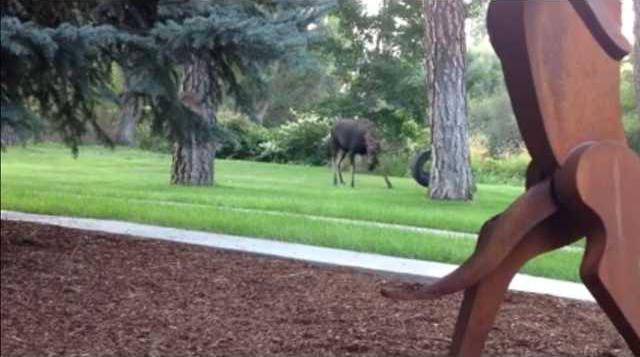 2df4668c601a9aa1ba583ecc3208bda6b4370f5f990a9442d96261dcd3a3db1e