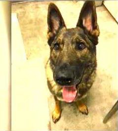 4df69a6254b3abcf439b9d22025f8ddd071ccbe69090cf88ed1211c809787b20