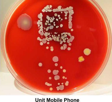 74bea6f3593a0f21229a142306bf1f7bbcd6572333be79ad6317b5fe0b5ee160