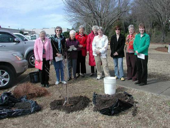 Arbor Day 2