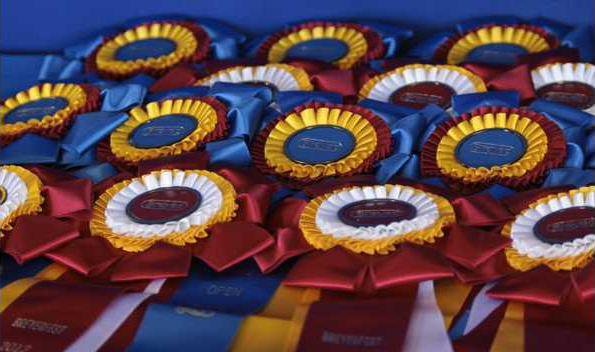 HorseShowRibbond