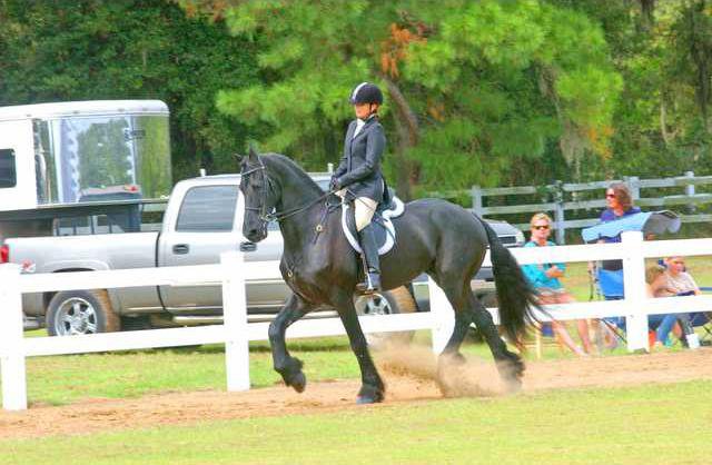 Katy Maier Bluff Creek Stables Riding Jasper