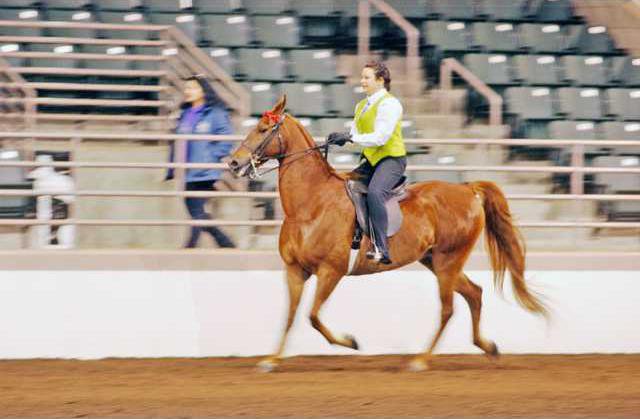 Sarah Tirpak Dixie Stables riding Santa Cruz