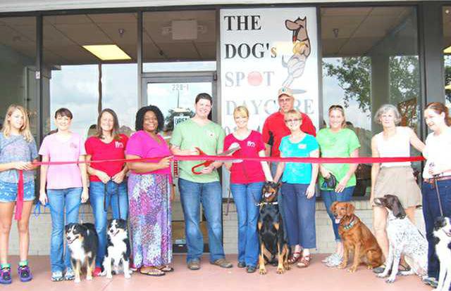 The Dogs Spot Daycare Ribbon Cutting 28