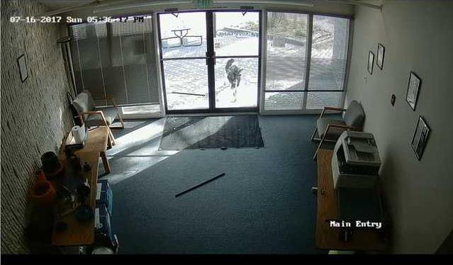 e8cf6f047b53302d2944aa59d4ba9a895ee2aaef217a9e8a6b90d4d2d31fec56