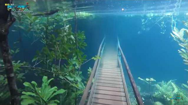 f980dc544a784d873808ddb291feb1d3900395182a8d26375c3294965c86b2a6