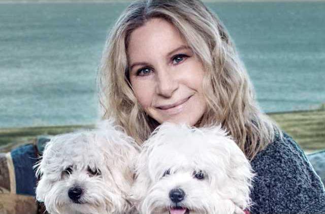 faf6ca96fee35bee3dc6bf67b30fb59393ec6daae4d67a3cc779a9d8f4ba96ef