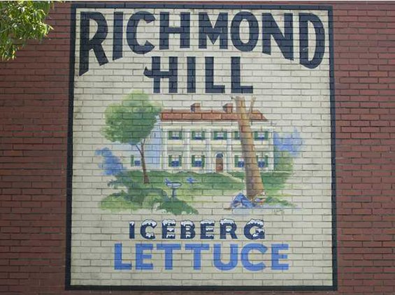 richmond hill iceberg lettuce