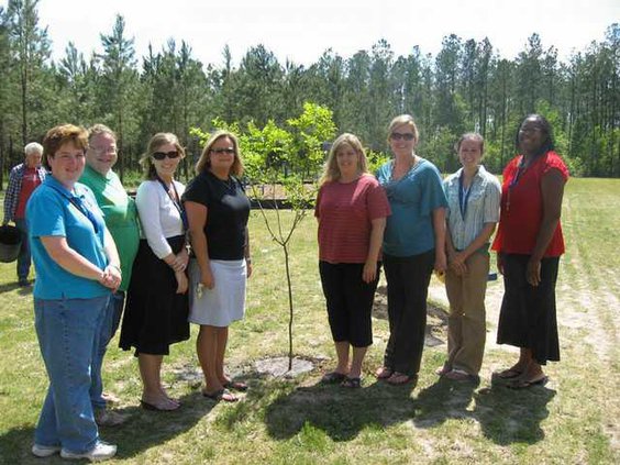 school Tree Planting
