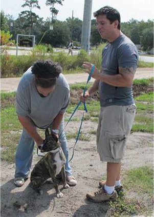 web 0907 Animal rescue 2