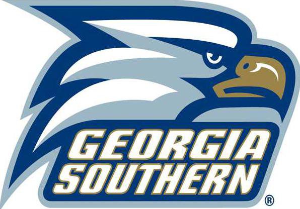 GSULogo