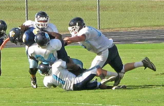 Pic 2 of Blue TIde defense