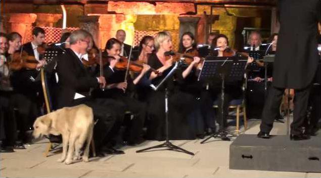 eff9c74196f691452c871174713904790dc1703466ad35f7c8fdb5203af4cc2e