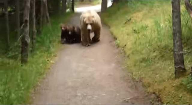 0435d9f5ee0aefef1a1516dc89097d6f3adb9c39ecc609b9223928dde6bdc6e5