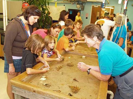 0926 Marine science day