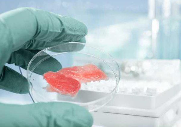 1b9ffc5ca68f2a7e5c518c6e7ebd7bc2c3e919990361aa37159f8e322a11b804