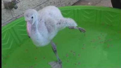 32b888f9d10a6312da7bf1617c1aaebb65d14a009ce6684be78e3746d8454c93