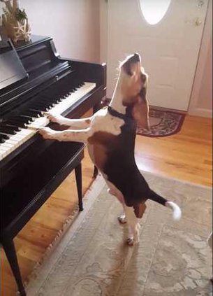 40d600c738393519aac9612cc5d94c3ae07b0ad3299eb3e64e2c949052274e96