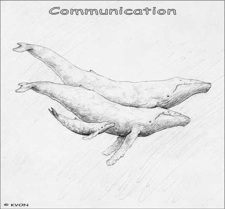 855e6cfb850099a90eaad025507baee2bbd2e12415bff7226ca7f99a5246bb03