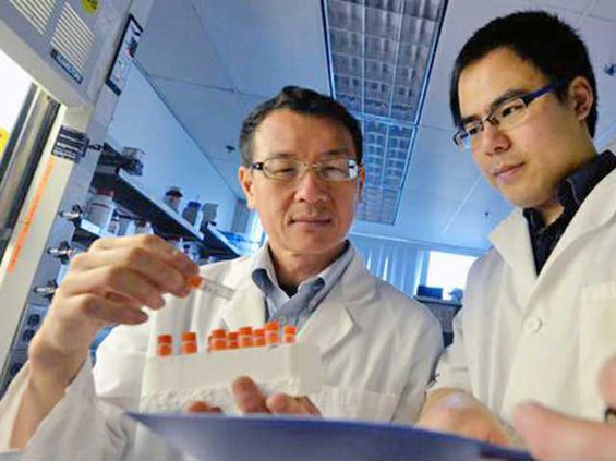 Dr. Lin Mei