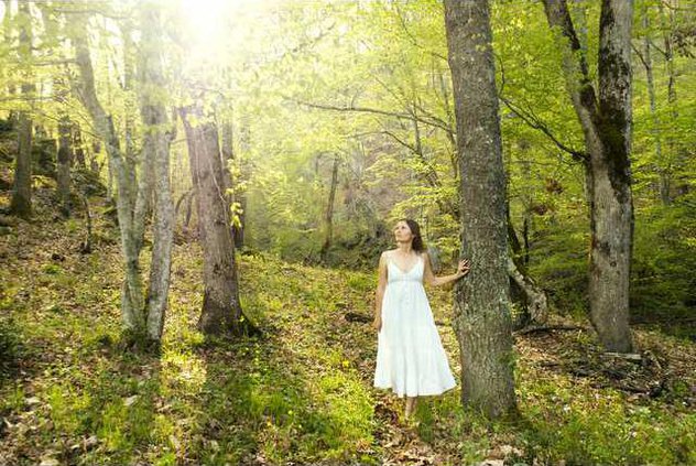 a0d0171b79060ffe204dbe9e29f6d997a10974d1ef4a0f534c871191249e5528