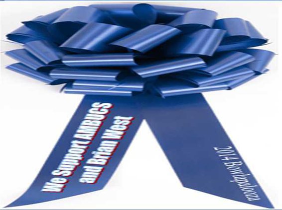 big blue ribbon.jpg